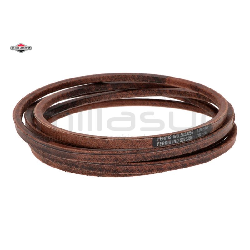 CORREA - motoscamaralweb.com