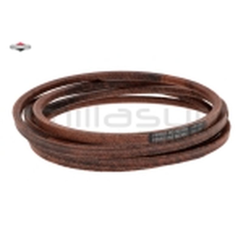 CORREA - motoscamaralweb.com