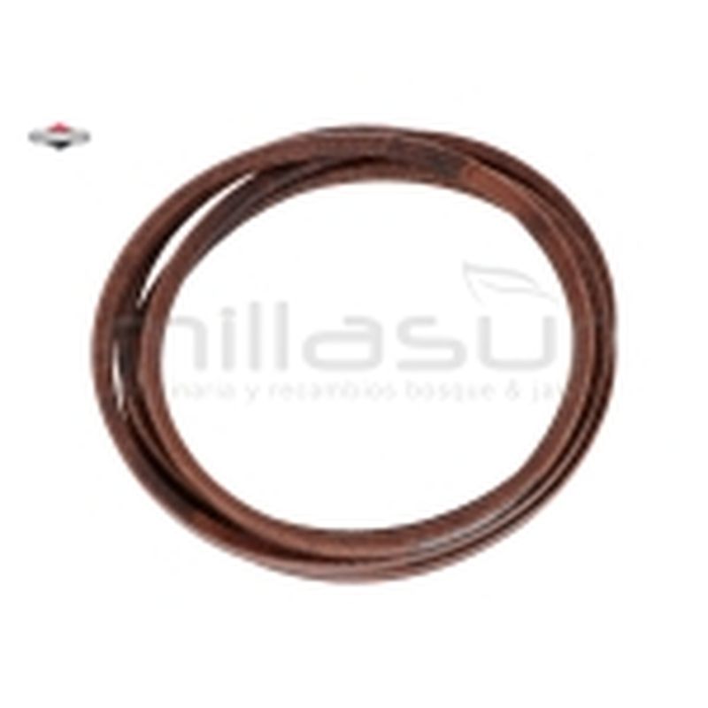 CORREA - motoscamaralweb.com