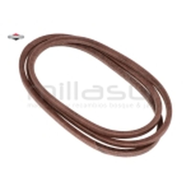 CORREA - motoscamaralweb.com