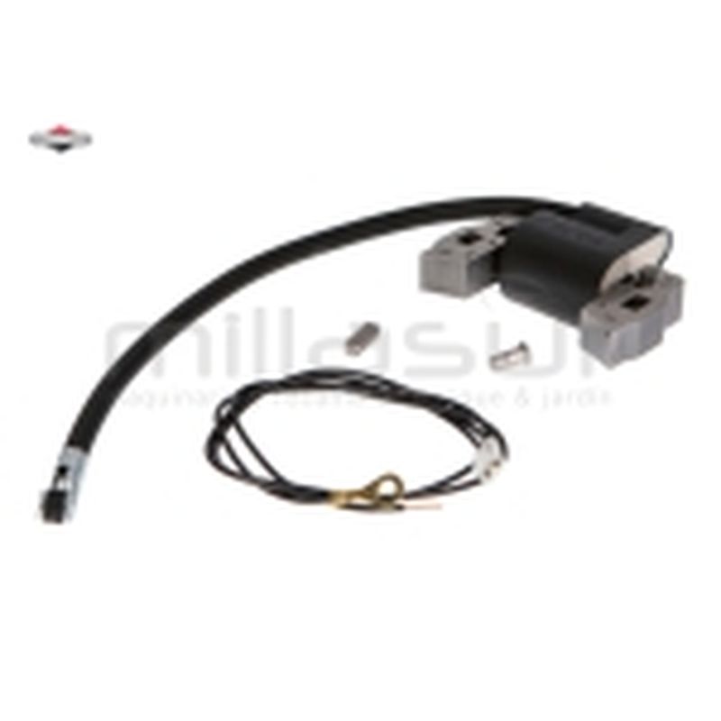 BOBINA DE ENCENDIDO - motoscamaralweb.com