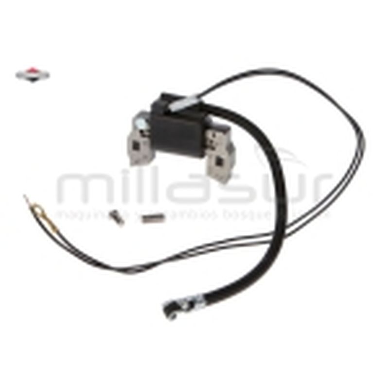 BOBINA DE ENCENDIDO - motoscamaralweb.com