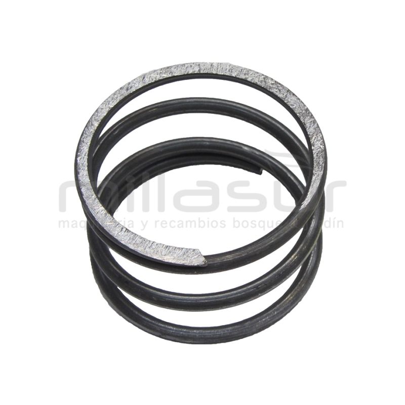 MUELLE CABEZAL 55-119 (NEW) - motoscamaralweb.com