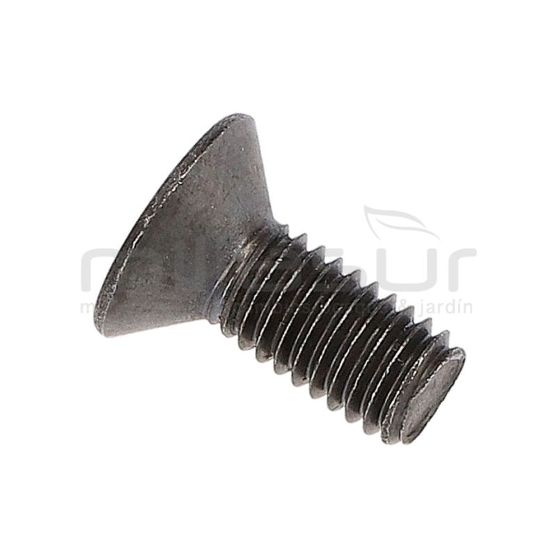 TORNILLO CABEZAL NYLGRIP 55-123 (1) - motoscamaralweb.com