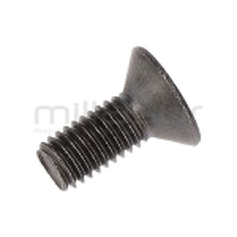 TORNILLO CABEZAL NYLGRIP 55-123 (1) - motoscamaralweb.com