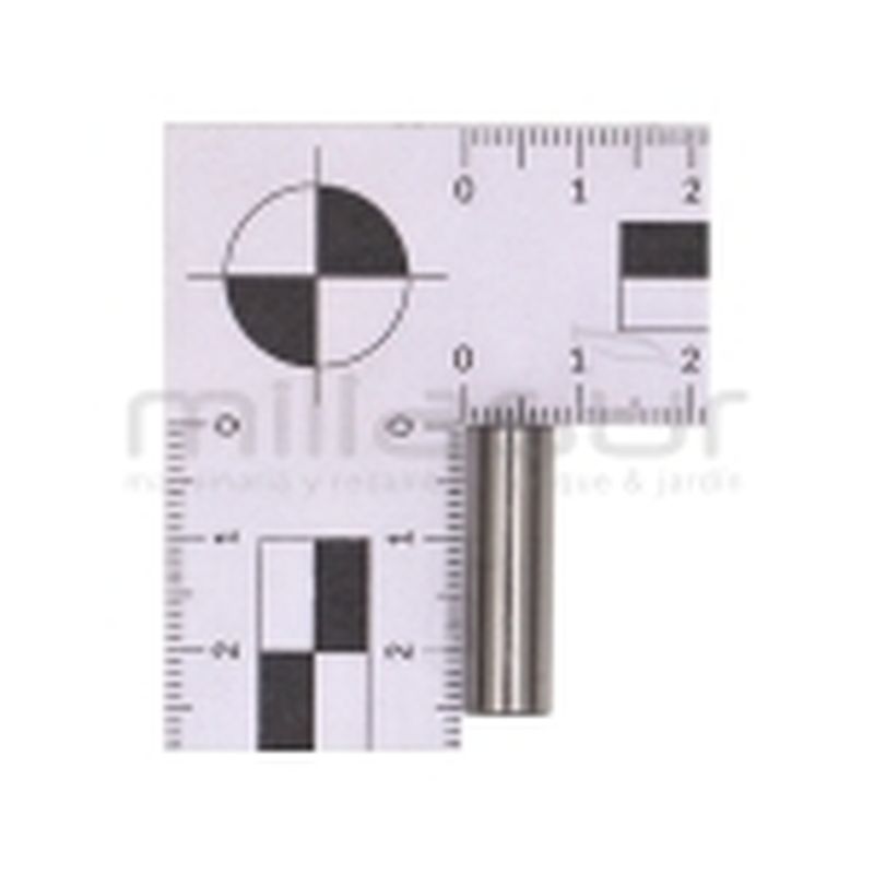 PISTÓN ROBIN EC025 (34mm) - motoscamaralweb.com