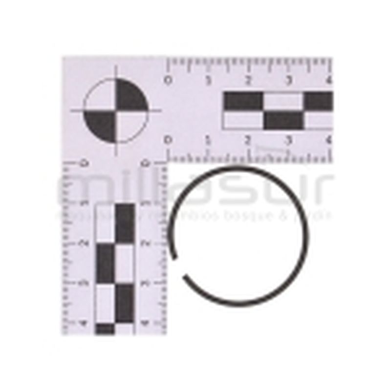 PISTÓN ROBIN EC025 (34mm) - motoscamaralweb.com