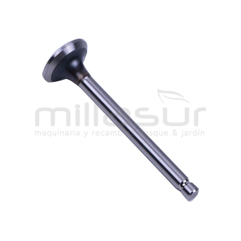 VÁLVULA ESCAPE ROBIN EH12 - motoscamaralweb.com